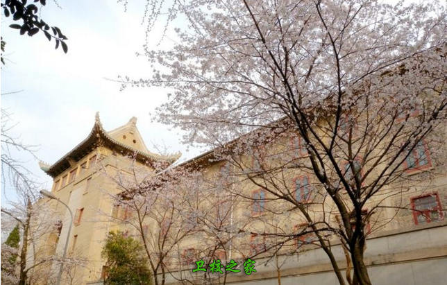校园景色