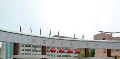 学校正门
