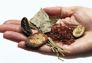 贵阳市轻轨学校有哪些适合女生的专业？