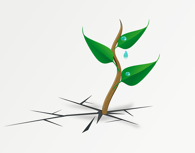 保山中医药高等专科学校怎么样